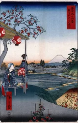 Het theehuis met uitzicht op de berg Fuji